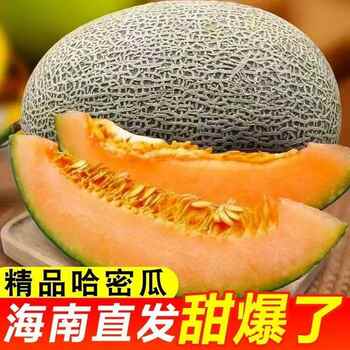 正宗海南25号哈密瓜4.5斤券后11.1元包邮