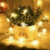 Solar camping decorative lights | Over 2,000 additional purchases