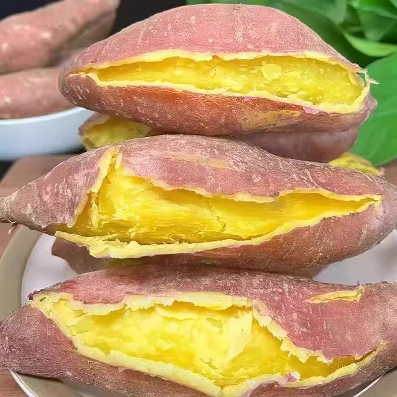 《》新鲜黄心龙九蜜薯沙地红薯地瓜番薯西瓜红当季超甜种植自种