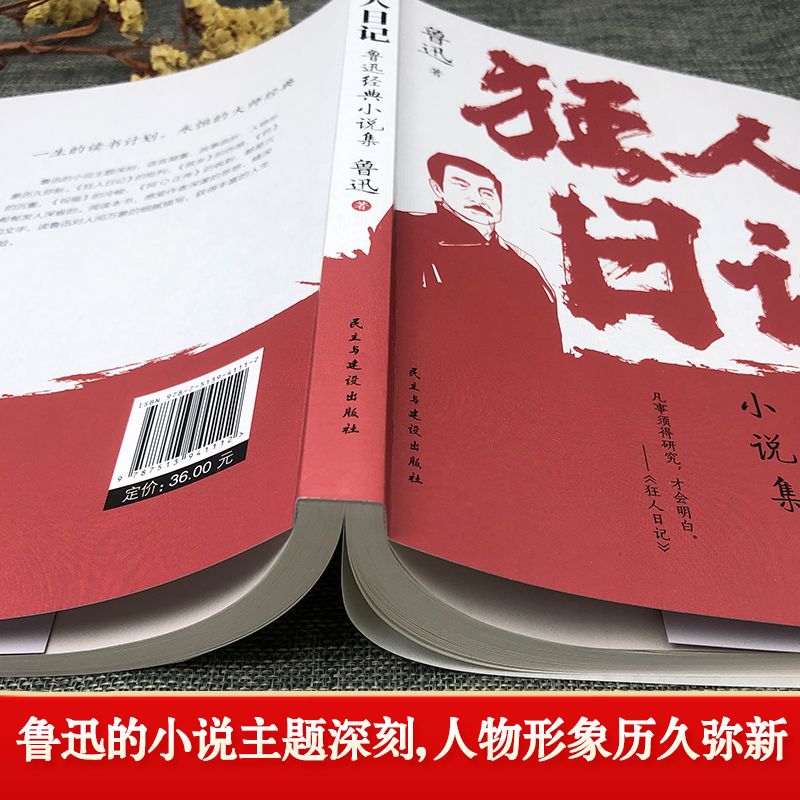 正版速发 狂人日记 鲁迅经典小说集 初中高中生课外阅读书文集 中国近现代小说文学书鲁迅白话文小说 开山之作经典文学作品 - 图1