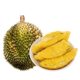 Thai source 5A grade Musang King durian meat frozen pulp tree ripe fresh cored shellless SF cold chain