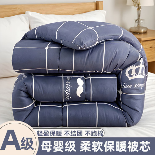 冬季被子棉被芯学生宿舍保暖10斤单人被褥打工人垫被春秋夏被冬被 - 图0