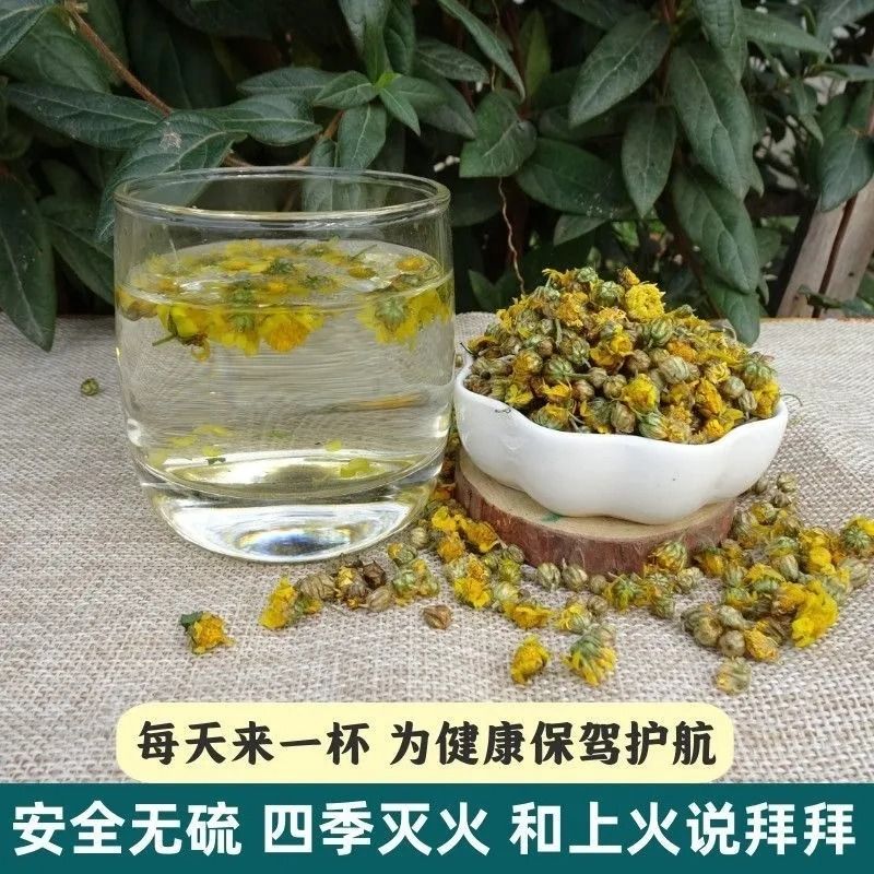 【出口级】高含量野菊花中药材陕西秦岭野生小野菊花 药用野菊花 - 图1