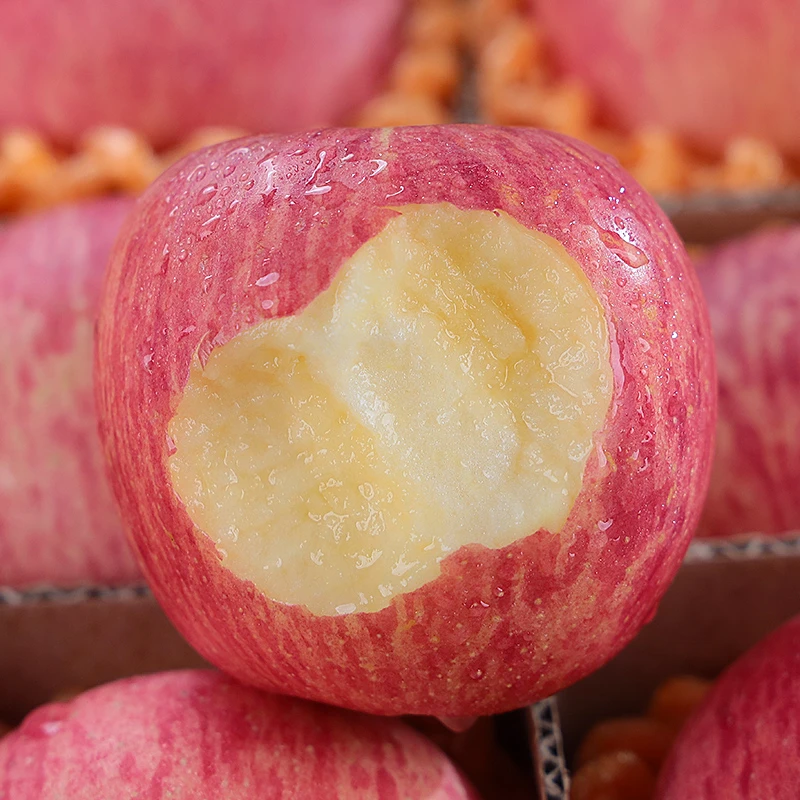 陕西洛川红富士苹果新鲜水果脆甜多汁应季正宗冰糖心苹果整箱包邮