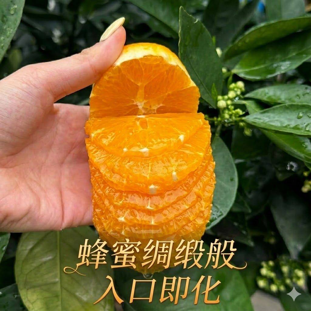 正宗伦晚脐橙大果秭归春橙新鲜手剥橙子湖北宜昌超甜多汁应季水果
