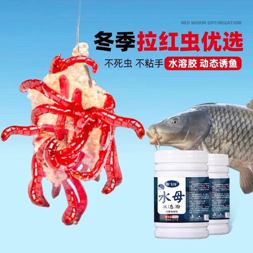 水母粉水拉饵昆布丝拉酒米黑坑野钓通杀鲫鱼鲤鱼全能拉蜘蛛丝状态 - 图2