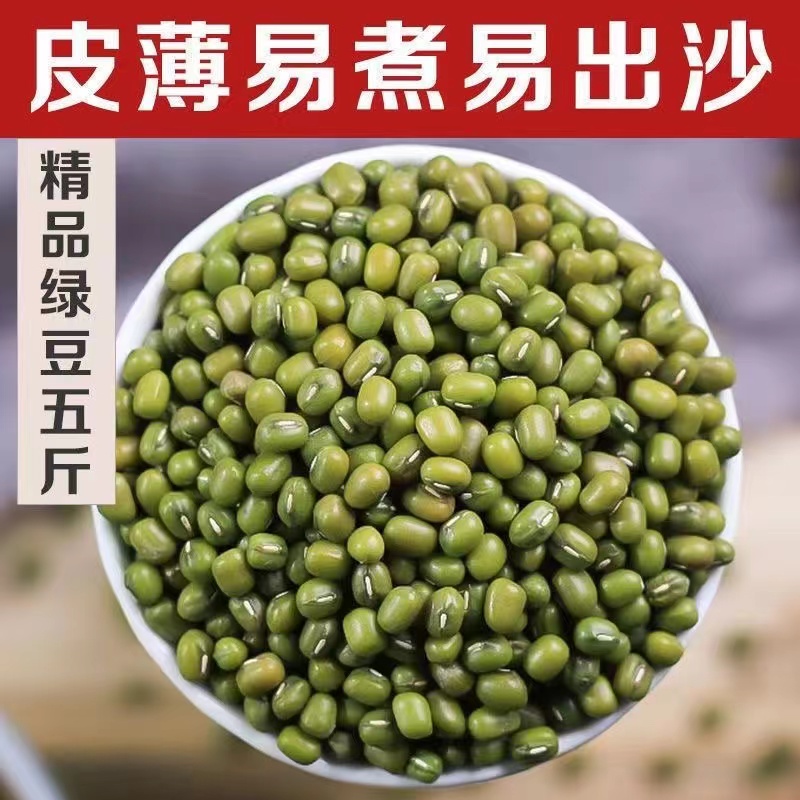 新货绿豆农家发豆芽专用绿豆汤煮粥五谷绿豆沙原料易煮易出沙优质 - 图1