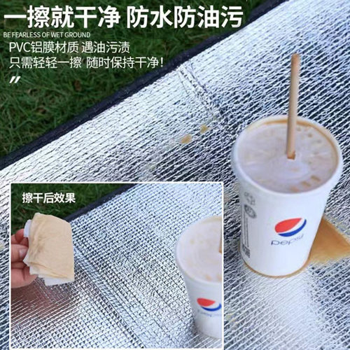 户外铝膜防潮垫加厚便携打地铺隔寒家用可折叠帐篷防水露营野餐垫 - 图3