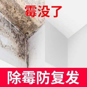 Wall mold remover ສີຂາວກໍາແພງຫີນແມ່ພິມຄົວເຮືອນຮູບວໍເປເປີ mold ຕິດຕາມ mold remover artifact wall ເຂັ້ມຂຸ້ນສູງ