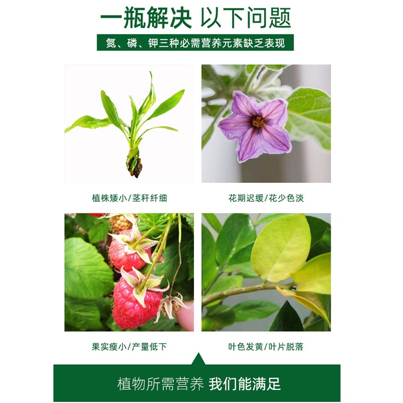 磷酸二氢钾肥料花卉专用正品农用花肥养花家用盆栽绿植通用复合肥 - 图1