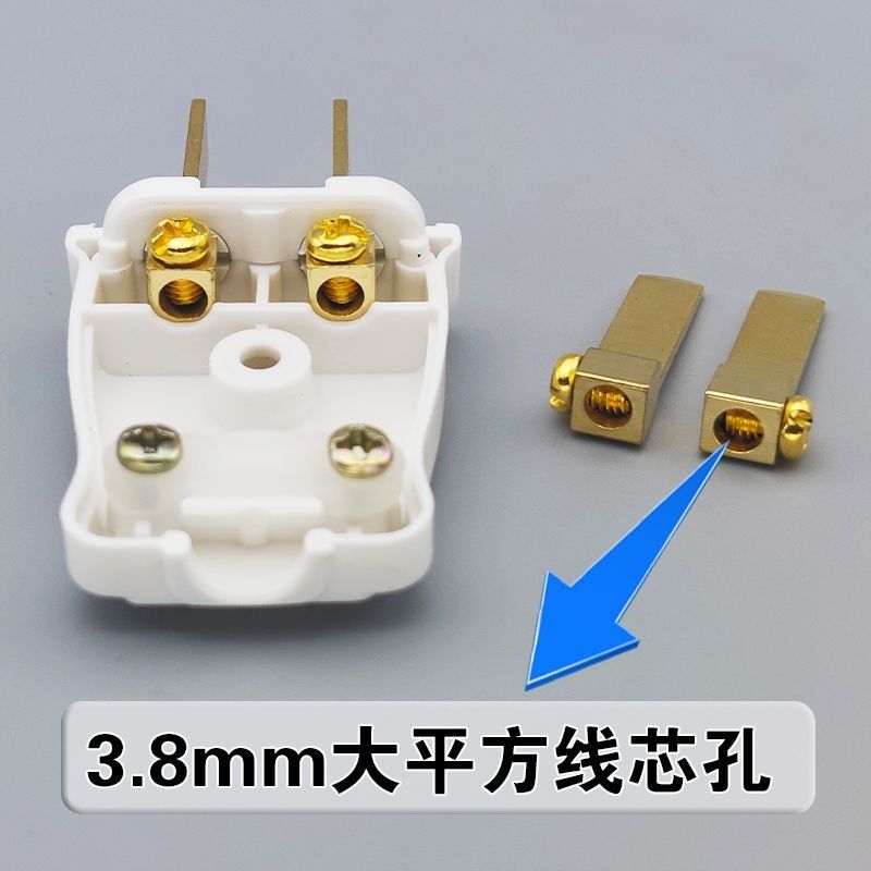 10A家用插头二脚正品纯铜插脚2脚白色两角插头固定不带线电器插头