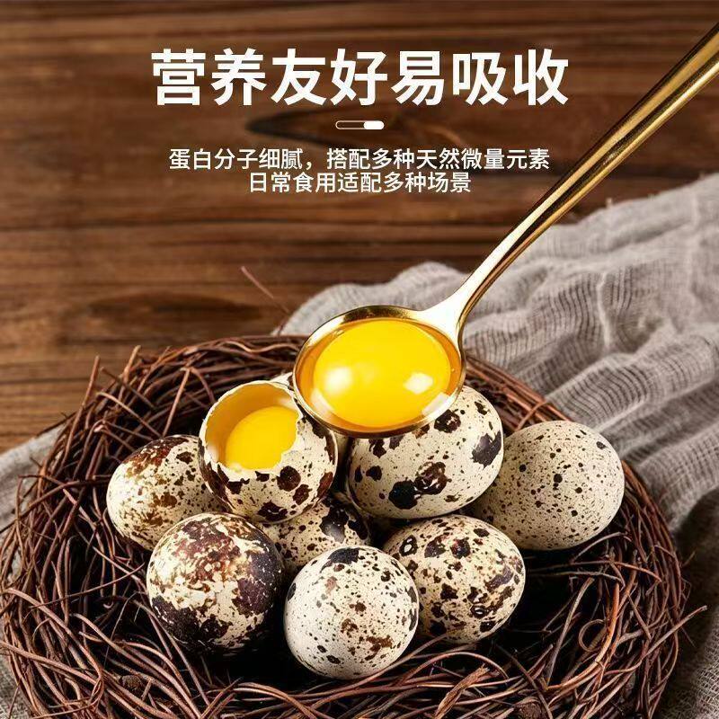新鲜生鹌鹑蛋50枚！！