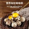 新鲜生鹌鹑蛋50枚！！