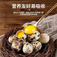新鲜生鹌鹑蛋50枚！！