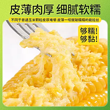 下拉到手17!农投北誉甄品粘糯玉米棒*8根[2元优惠券]-寻折猪