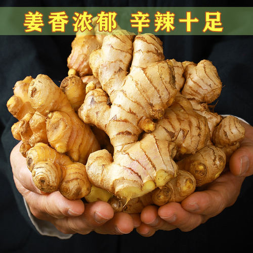 正宗云南新鲜当季小黄姜生姜干老姜嫩姜土姜子姜现挖高山沙姜去腥 - 图3