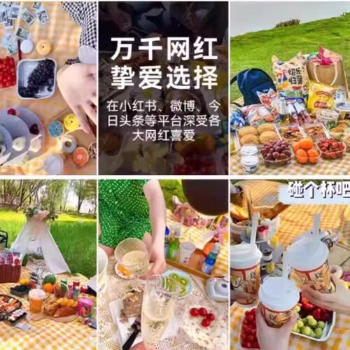 野餐垫防潮加厚户外地垫春游露营防水ins便携垫子草坪野炊坐垫 - 图2