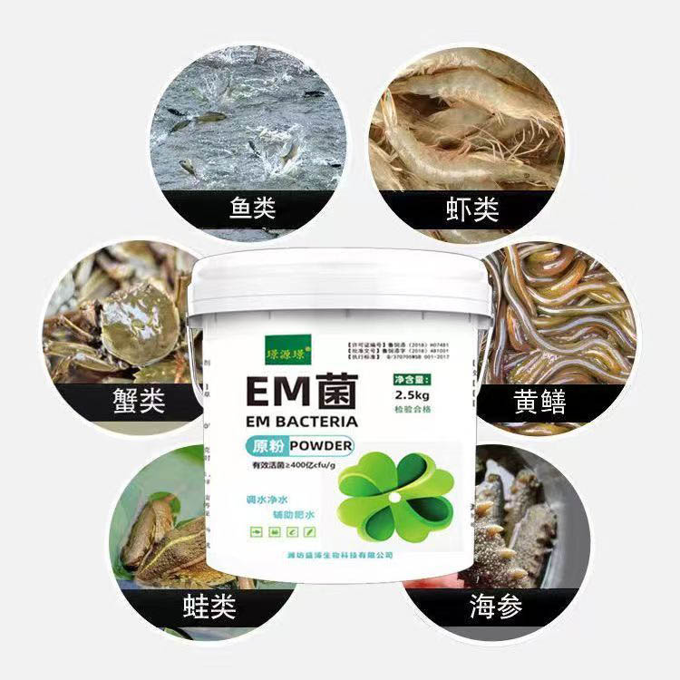 EM菌原粉水产养殖鱼虾蟹塘调水净水稳定菌相芽孢杆菌EM菌种肥水 - 图1