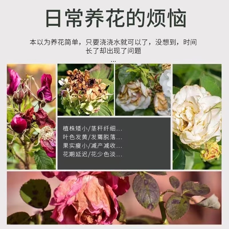 园艺骨粉花肥料养花卉专用脱脂骨粉三角梅君子兰有机肥高磷钙通用 - 图1