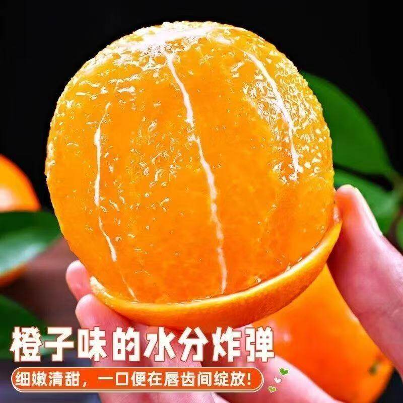 江西赣南脐橙甜蜜多汁现采直发手剥橙子儿童孕妇应季水果橙子