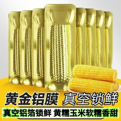 开源保丰东北黄糯玉米甜玉米粘苞米玉米棒早餐代餐轻食真空锁鲜装