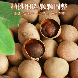 【老街口】桂圆干250g*2袋一斤
