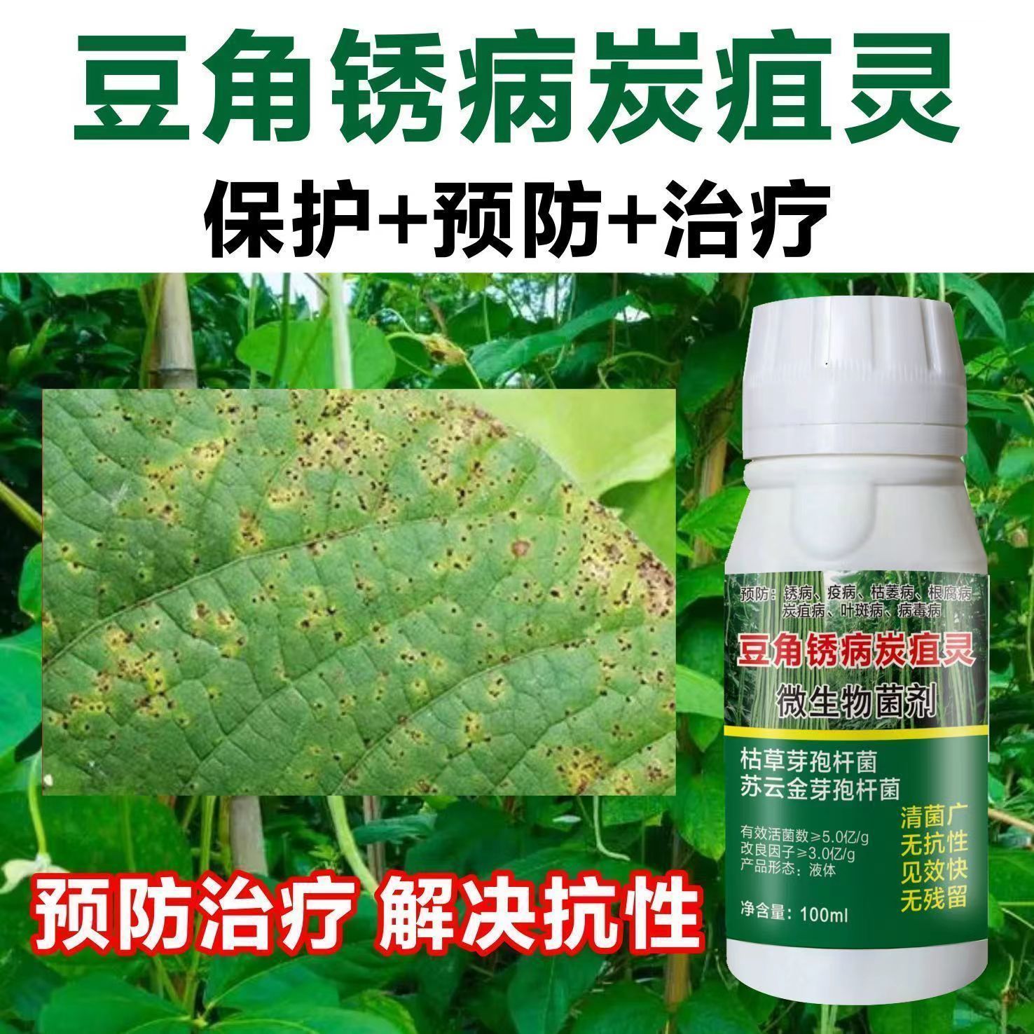 豆角病专用活菌锈病炭疽灵豆角枯萎根腐微生物菌剂液体长效营养 - 图2