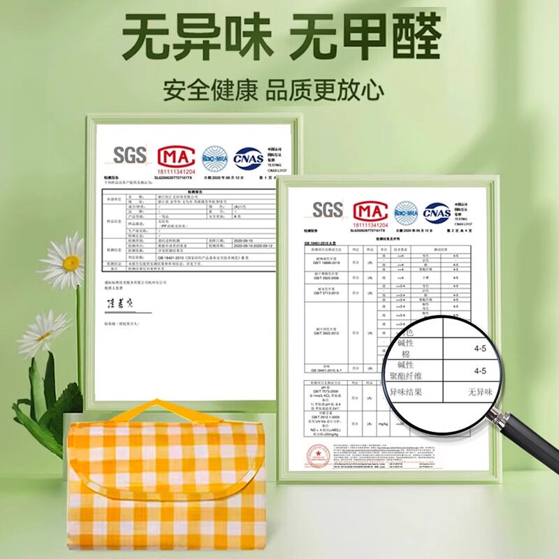 野餐垫防水加厚防潮垫沙滩地垫毯子帐篷户外春游野炊露营草坪垫子