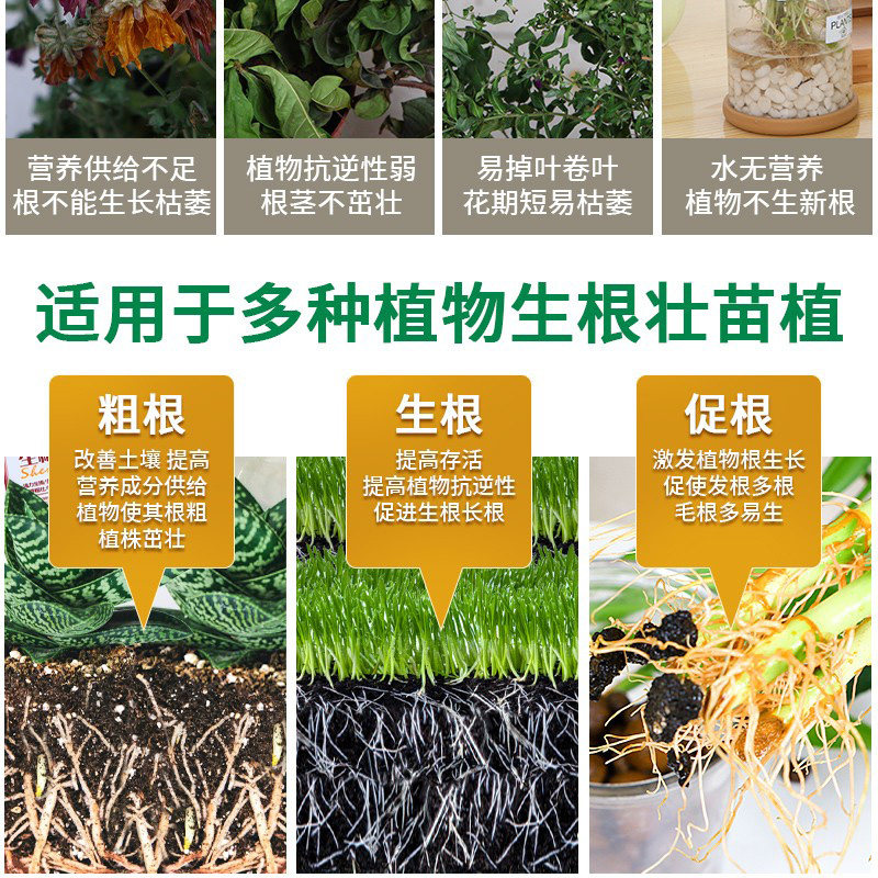 生根粉通用型发根生根液扦插移栽树木生根壮苗中量元素水溶肥料,淘宝优惠券,粉丝福利购,淘宝优惠卷