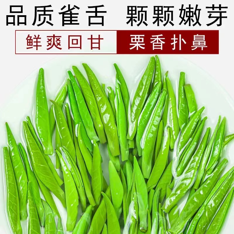 品牌雀舌绿茶2024新茶叶明前特级毛尖茶春茶罐装嫩芽炒青回甘茶芽 - 图0