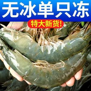 大虾鲜活超大基围虾特大青虾冷冻鲜对虾速冻海虾虾类海鲜水产青岛