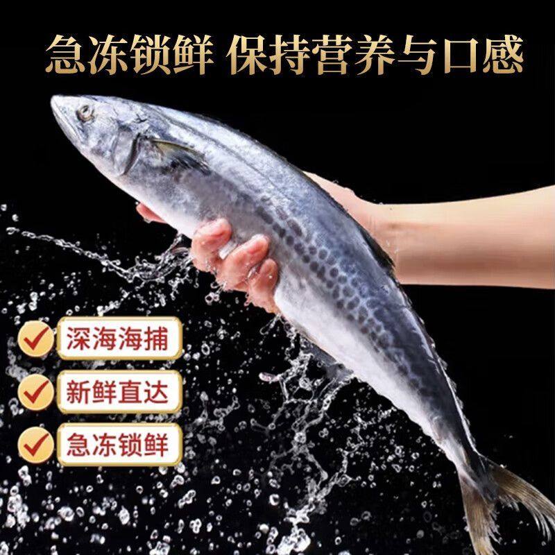 特大马鲛鱼新鲜冷冻特大鲅鱼野生燕尾鱼无冰净重整条马鲛鱼批发,淘宝优惠券,粉丝福利购,淘宝优惠卷