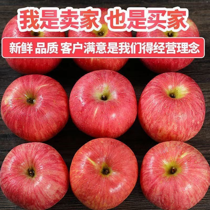 正宗陕西洛川苹果10斤新鲜水果红富士当季整箱包邮冰糖心脆甜苹果-图2