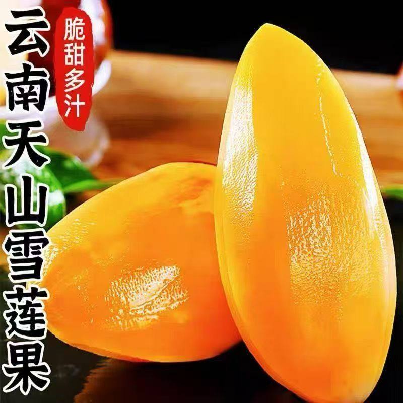 云南天山雪莲果新鲜水果当季现挖脆甜红心黄心新鲜雪连果水果,淘宝优惠券,粉丝福利购,淘宝优惠卷