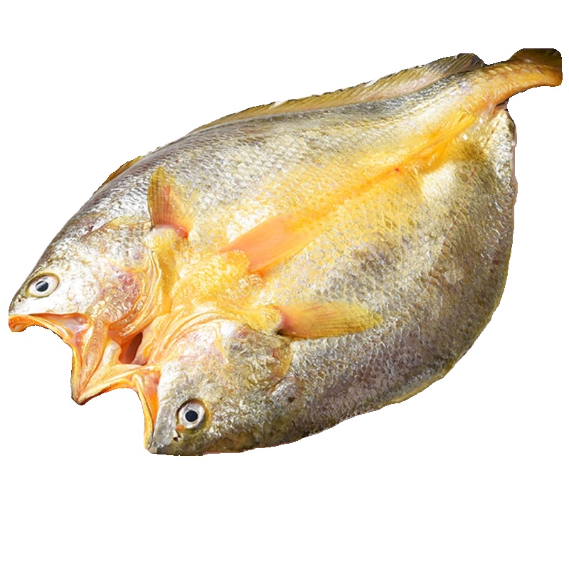 黄鱼鲞新鲜冷冻大黄鱼黄花鱼三去生鲜宁德小黄鱼海鲜海鱼商用水产-图3