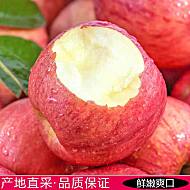 【超低价】现摘山西红富士苹果5斤
