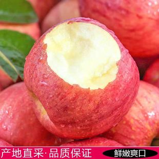 【超低价】现摘山西红富士苹果5斤