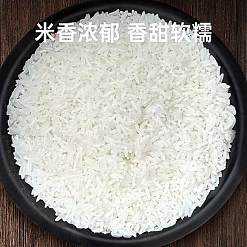 代府大院现磨新五常大米5斤真空装[3元优惠券]-寻折猪