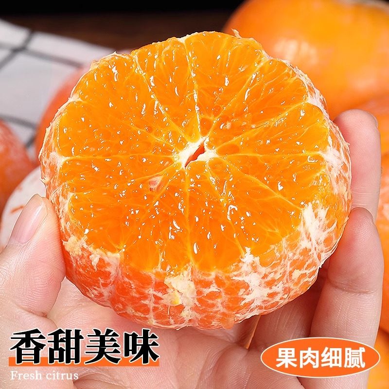 广西武鸣沃柑现摘大果沃柑8.5斤柑橘桔子柑爆汁水果脏脏柑好吃