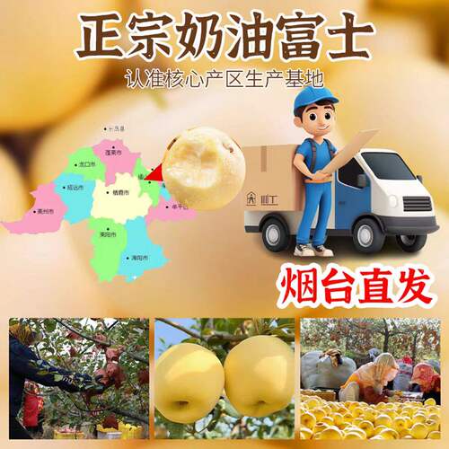 山东烟台黄金奶油富士苹果新鲜水果当季整箱维纳斯10斤脆甜黄苹果 - 图2
