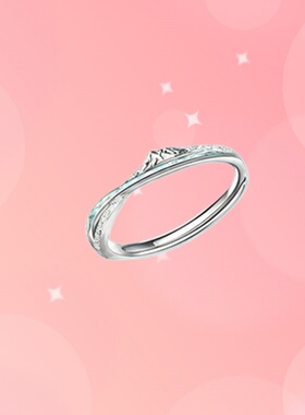 22岁生日对戒我见众山皆草木