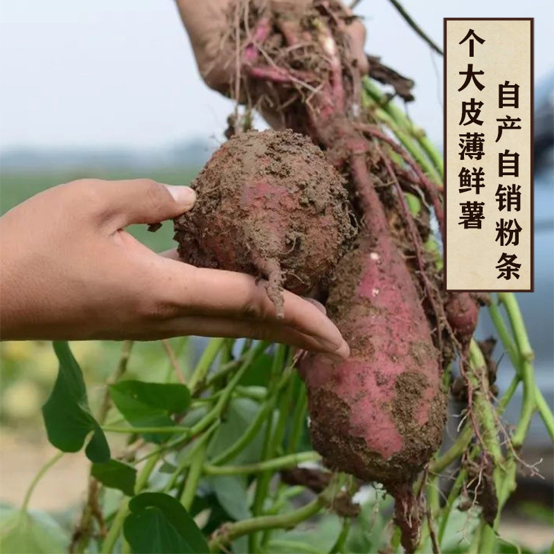 安徽红薯粉条手工纯细粉5斤正山宗芋酸辣粉丝红细粉地瓜红薯粉条,淘宝优惠券,粉丝福利购,淘宝优惠卷