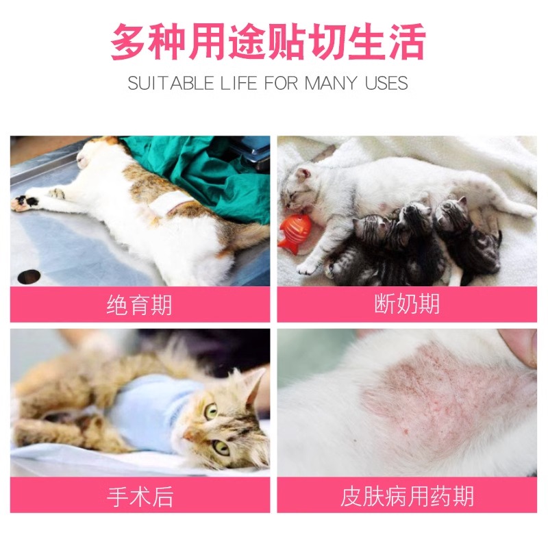 猫咪绝育手术服母猫断奶服术后防咬防舔透气弹性四脚猫咪宠物衣服