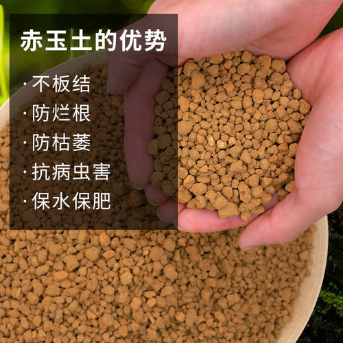 甜沃三本线日本进口赤玉土正品硬质颗粒大包装盆景专用铺面麦饭石 - 图1