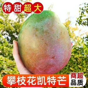 5斤四川攀枝花凯特芒，单果500g