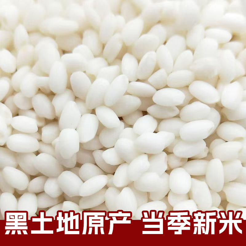 东北白糯米5斤农家自产粘大米江米圆糯米五谷杂粮粽子新货圆粒