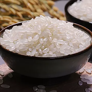 九五常淳稻香大米5kg[21元优惠券]-寻折猪