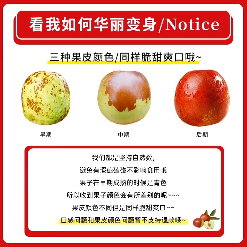 山东新鲜冬枣脆甜大果鲜枣当季水果特大冰糖现摘非沾化青枣好吃
