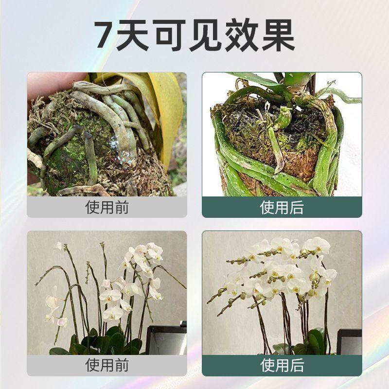 芽动力兰灵王兰花专用营养液兰花肥料兰花专用菌兰陵王兰花营养液,淘宝优惠券,粉丝福利购,淘宝优惠卷