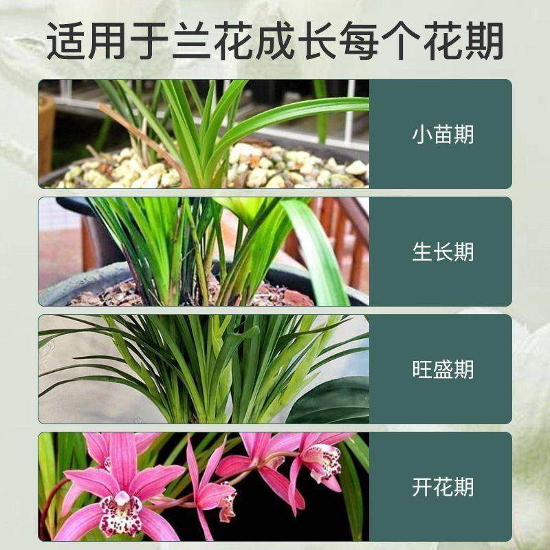 芽动力兰灵王兰花专用营养液兰花肥料兰花专用菌兰陵王兰花营养液,淘宝优惠券,粉丝福利购,淘宝优惠卷